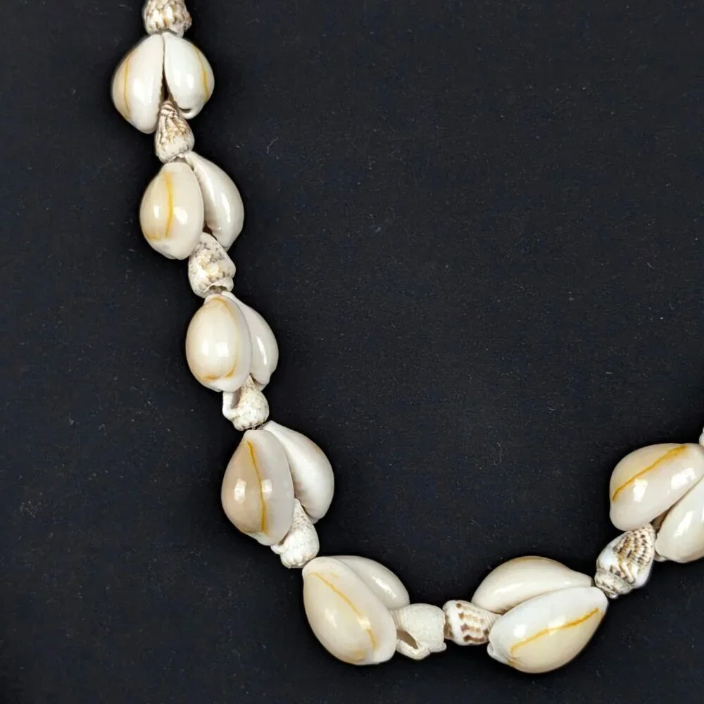 (2/$20) Graduated Shell Infinity Necklace - Picture 3 of 5